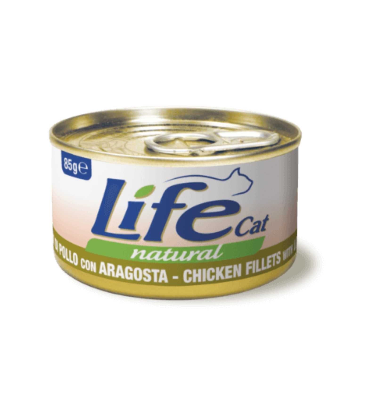 LIFEPE110122_1_Image.erp.items.images.110122_01.jpg LIFEPE110122 picture