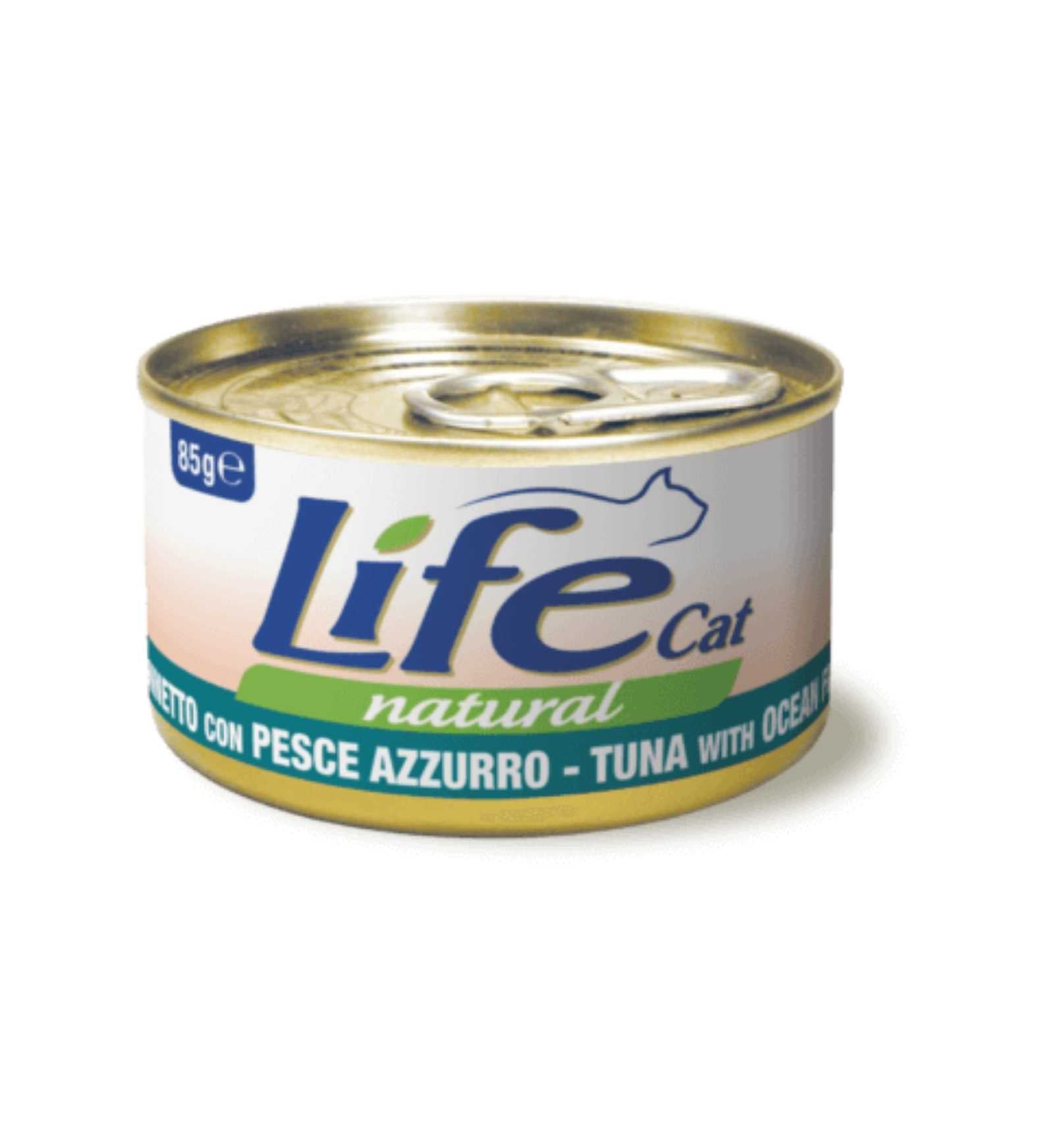 LIFEPE110127_1_Image.erp.items.images.110127_01.jpg LIFEPE110127 picture