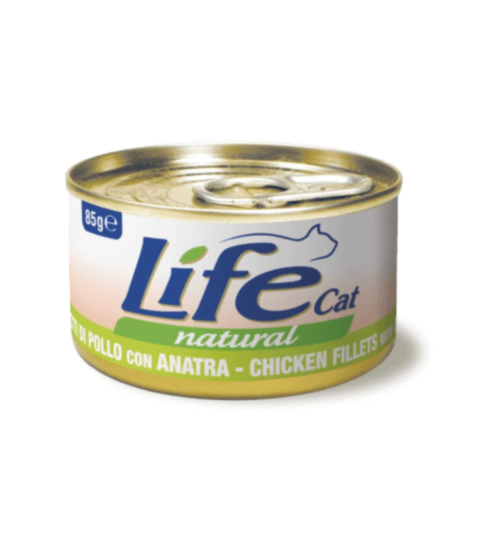LIFEPE110131_1_Image.erp.items.images.110131_01.jpg LIFEPE110131 picture