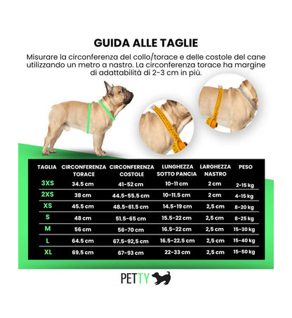 LOCONT3330306_4__Server-Mago_Mago4_Custom_Companies_ZOOEXPERT_SRL_Applications_ERP_Items_Files_Images_AllUsers_3330283_04.jpg LOCONT3330306 picture