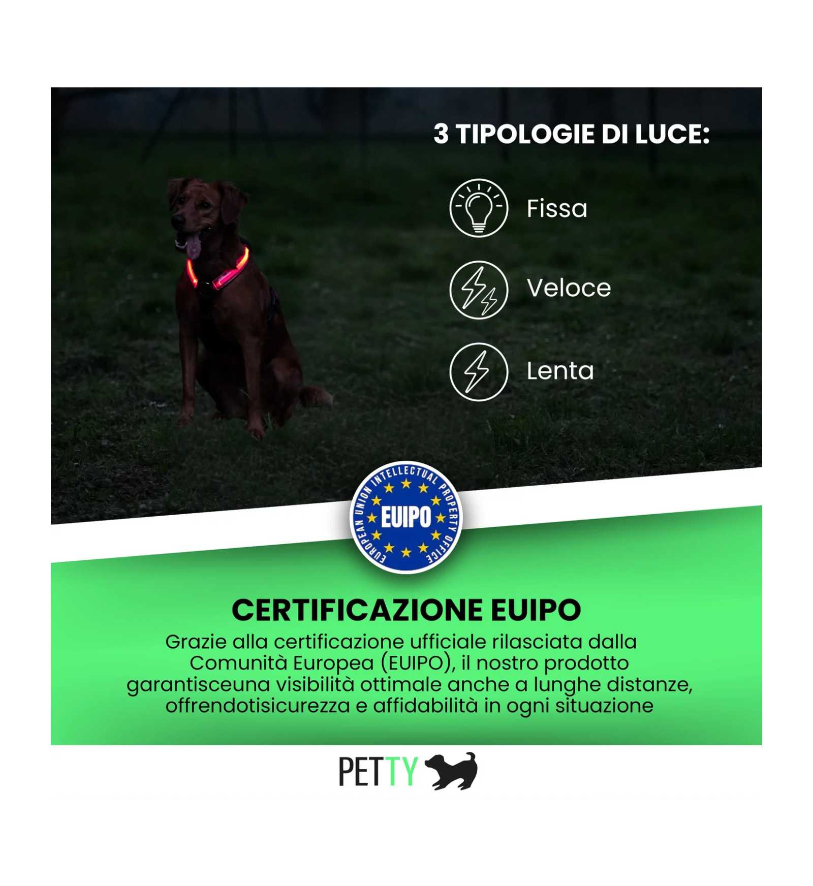 LOCONT3330306_6__Server-Mago_Mago4_Custom_Companies_ZOOEXPERT_SRL_Applications_ERP_Items_Files_Images_AllUsers_3330283_06.jpg LOCONT3330306 picture