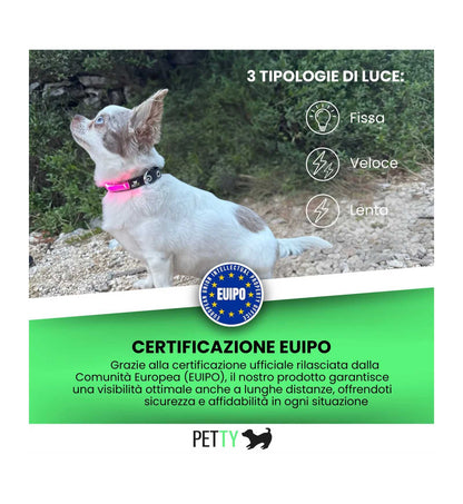 LOCONT3330450_5__Server-Mago_Mago4_Custom_Companies_ZOOEXPERT_SRL_Applications_ERP_Items_Files_Images_AllUsers_3330443_05.jpg LOCONT3330450 picture