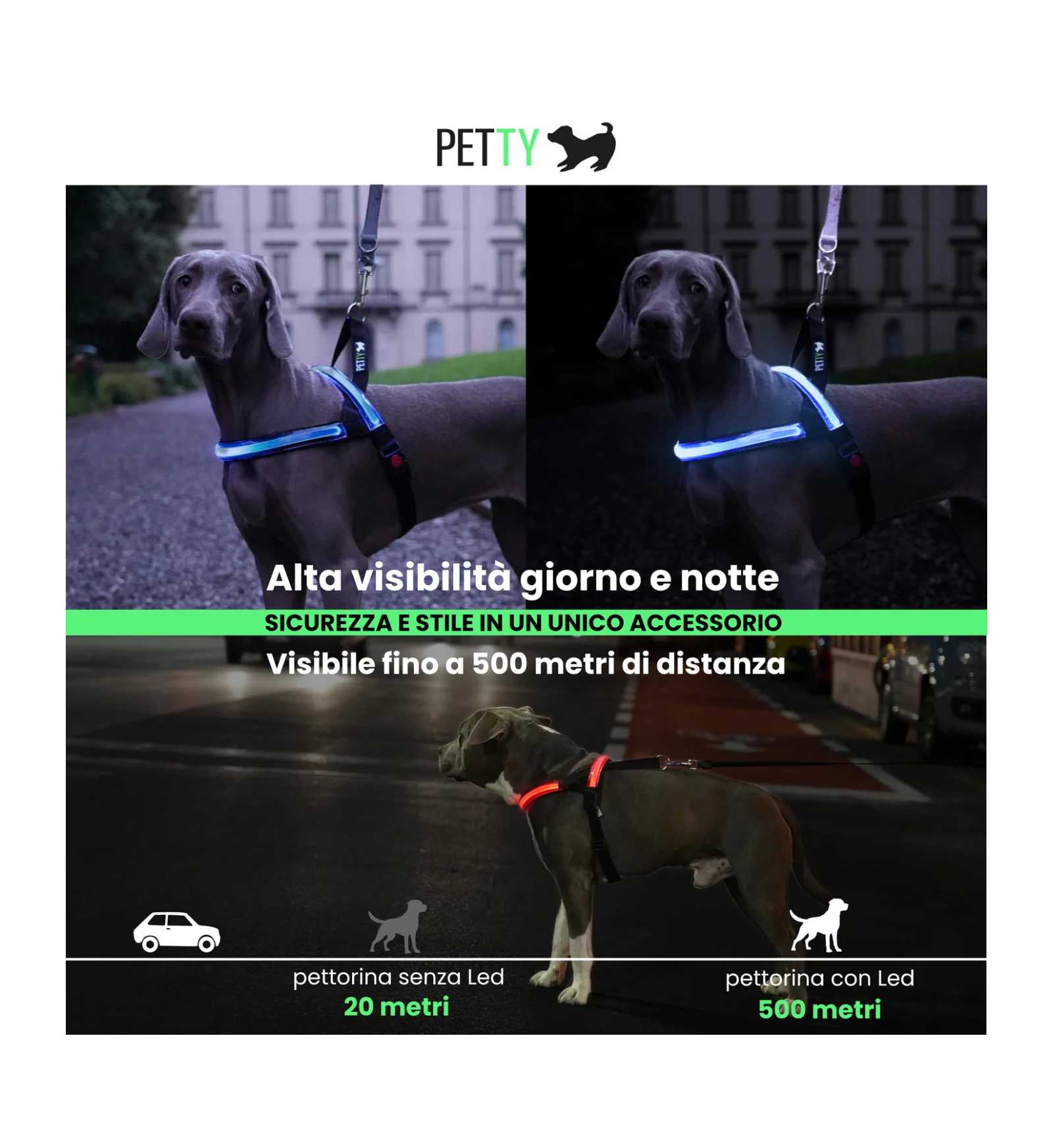 LOCONT3339248_3__Server-Mago_Mago4_Custom_Companies_ZOOEXPERT_SRL_Applications_ERP_Items_Files_Images_AllUsers_3339484_03.jpg LOCONT3339248 picture