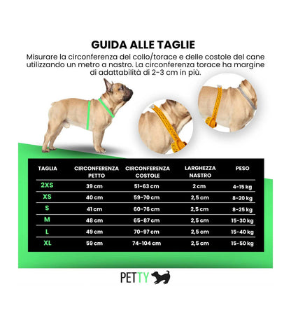 LOCONT3339248_4__Server-Mago_Mago4_Custom_Companies_ZOOEXPERT_SRL_Applications_ERP_Items_Files_Images_AllUsers_3339484_04.jpg LOCONT3339248 picture