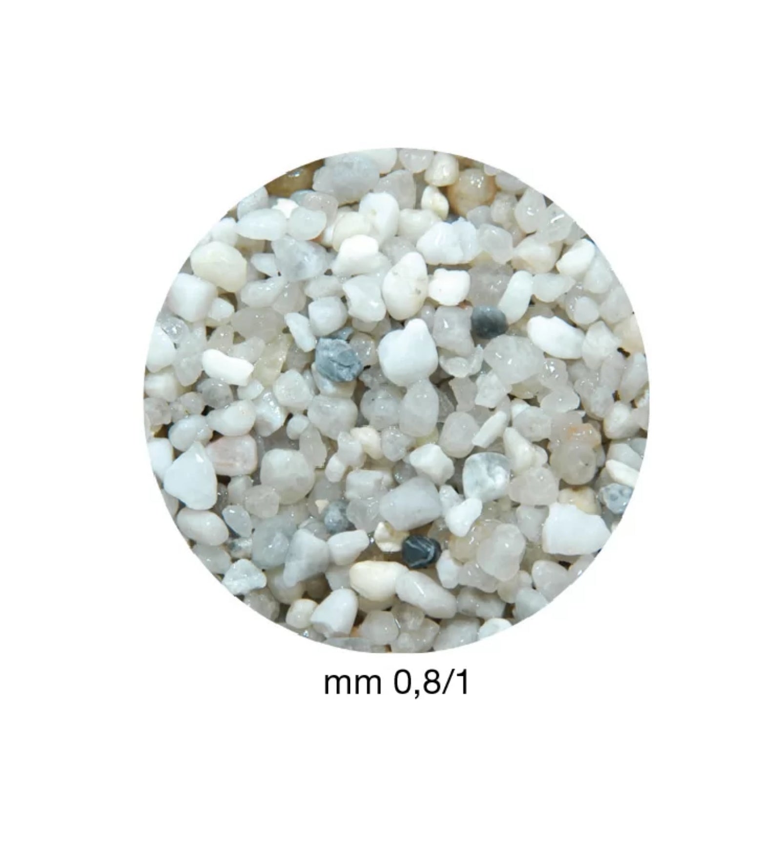 MANTOVAE103150_2_Image.erp.items.images.AE103150_02.jpg MANTOVAE103150 picture