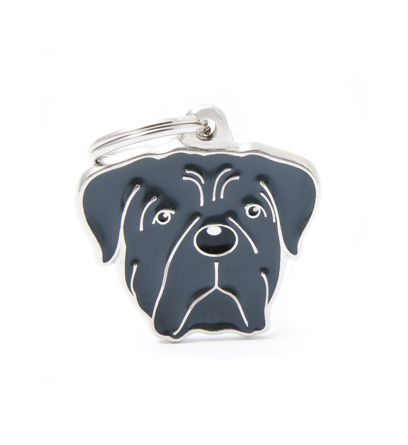 MYFAMIMF47_3_Image.erp.items.images.MF47_01.jpg MYFAMIMF47 picture