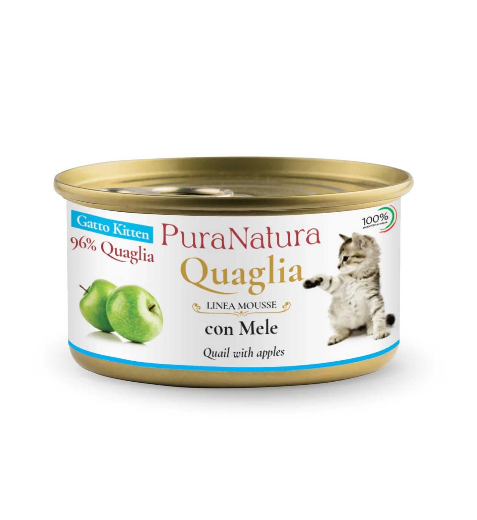 OFFICI1394_1_Image.erp.items.images.GATPN-QUAGLIA_KITTEN_01.jpg OFFICI1394 picture