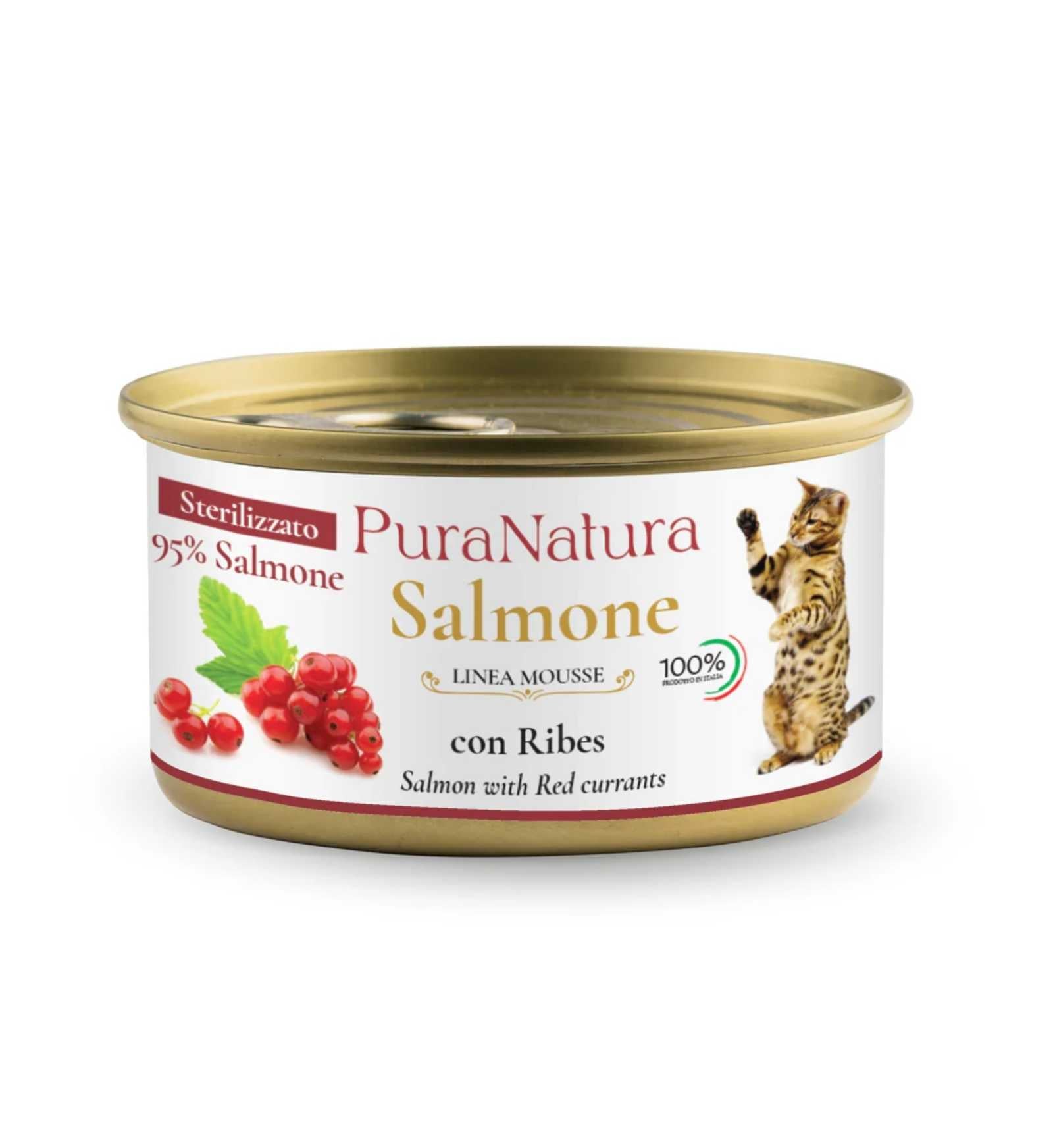 OFFICI1431_1_Image.erp.items.images.GATPN-SALMONE_RIBES__01.jpg OFFICI1431 picture