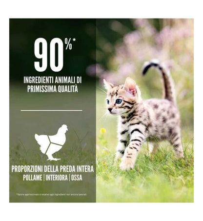 ORIJEN GATTO KITTEN