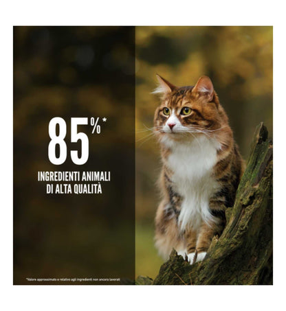 ORIJEN GATTO REGIONAL RED