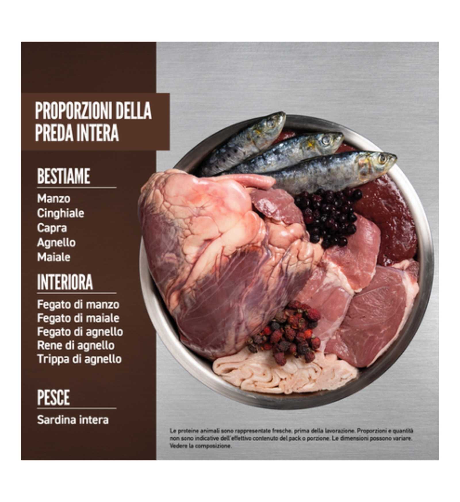 ORIJEN GATTO REGIONAL RED