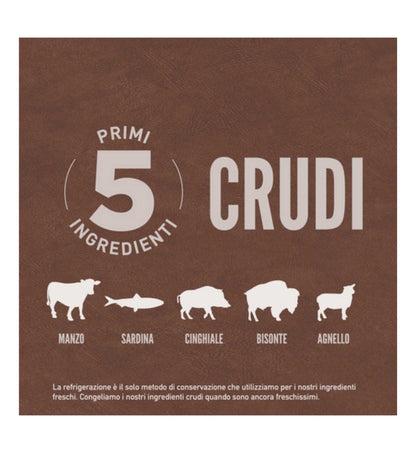 ORIJEN GATTO REGIONAL RED