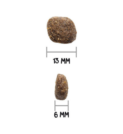 OWNAT031568_3__Server-Mago_Mago4_Custom_Companies_ZOOEXPERT_SRL_Applications_ERP_Items_Files_Images_AllUsers_031568_12.jpg OWNAT031568 picture