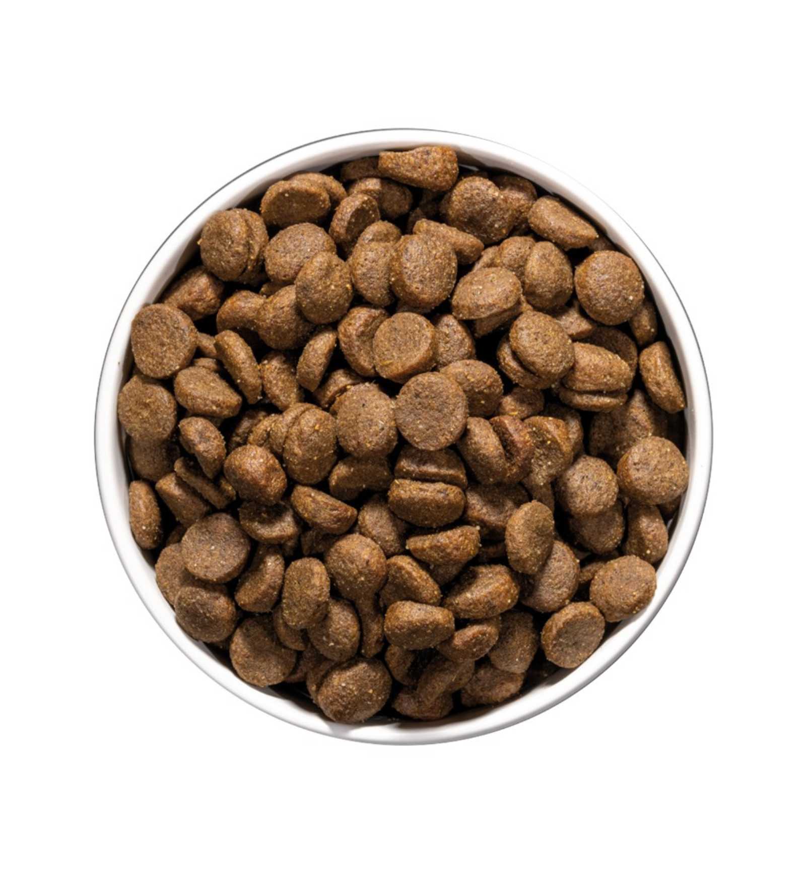 OWNAT031578_01_4__Server-Mago_Mago4_Custom_Companies_ZOOEXPERT_SRL_Applications_ERP_Items_Files_Images_AllUsers_031578_13.jpg OWNAT031578_01 picture