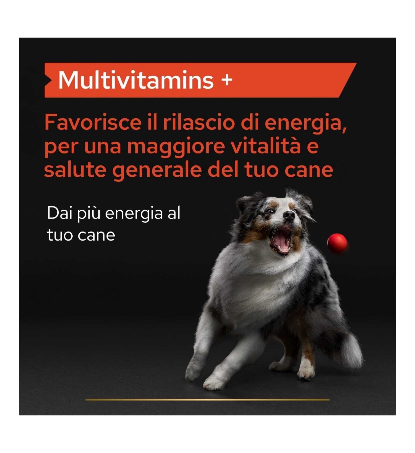 PURINA12505735_16_Image.erp.items.images.12505735_16.jpg PURINA12505735 picture