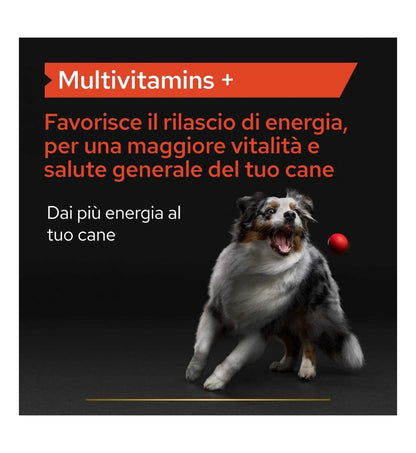 PURINA12505735_16_Image.erp.items.images.12505735_16.jpg PURINA12505735 picture