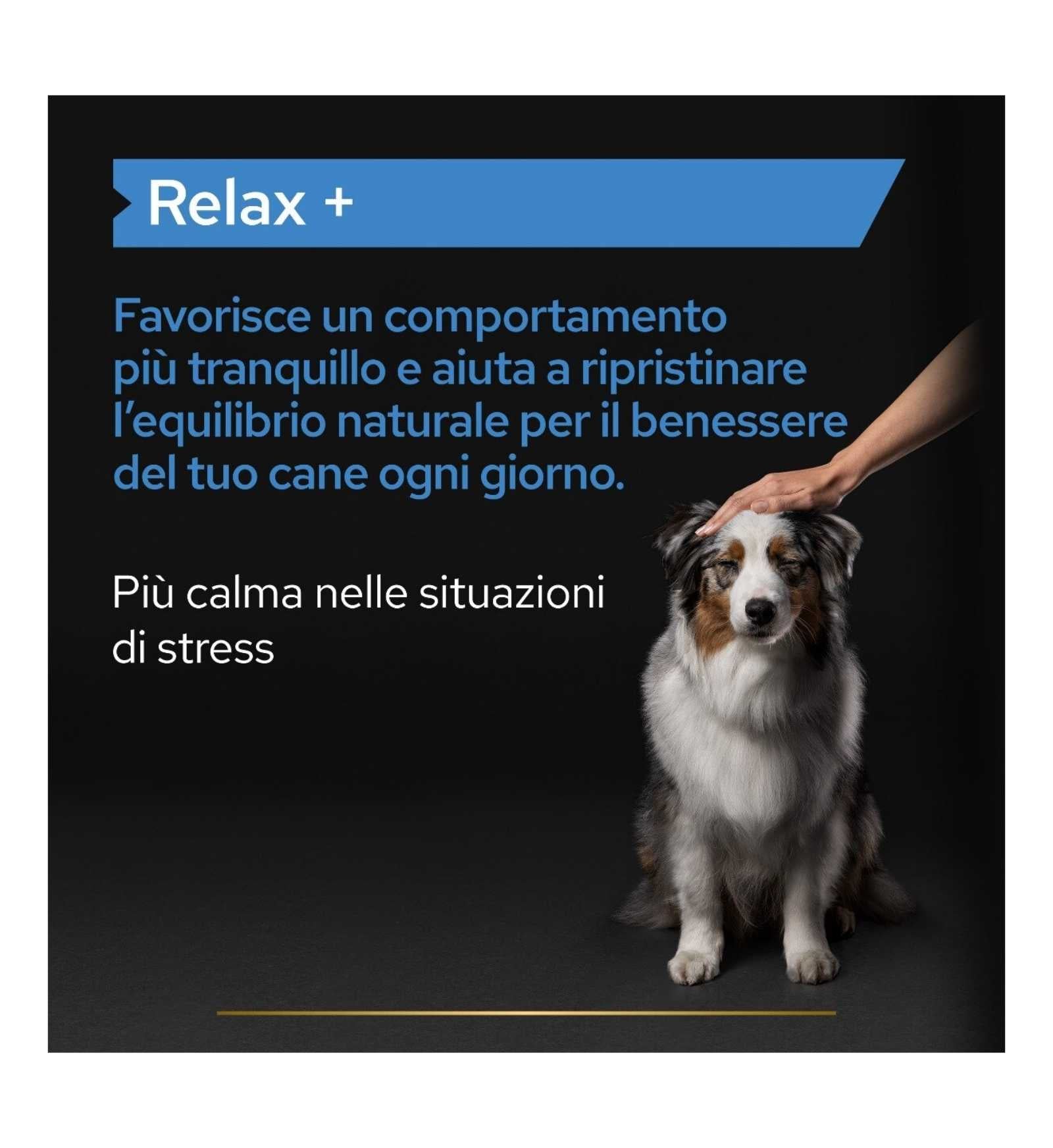 PURINA12505881_16_Image.erp.items.images.12505881_16.jpg PURINA12505881 picture