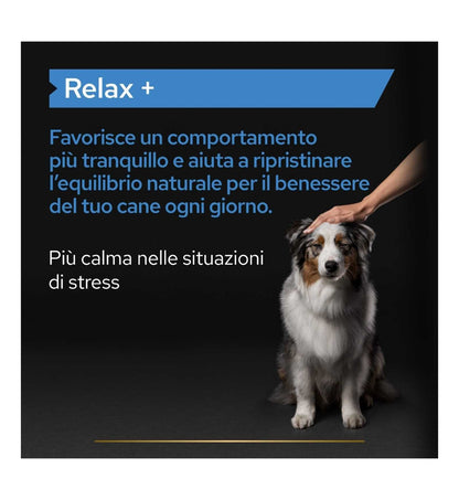 PURINA12505881_16_Image.erp.items.images.12505881_16.jpg PURINA12505881 picture