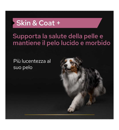 PURINA12505883_16_Image.erp.items.images.12505883_16.jpg PURINA12505883 picture