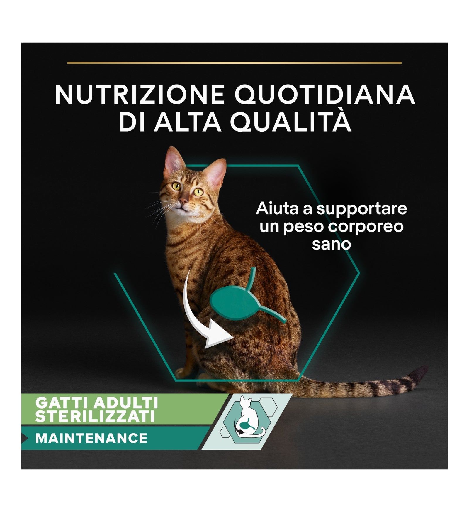 PURINA12570582_3__Server-Mago_Mago4_Custom_Companies_ZOOEXPERT_SRL_Applications_erp_items_Files_images_AllUsers_12570582_03.jpg PURINA12570582 picture