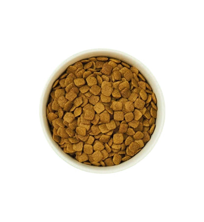 PURINA14529293_3__Server-Mago_Mago4_Custom_Companies_ZOOEXPERT_SRL_Applications_ERP_Items_Files_Images_AllUsers_14529293_12.jpg PURINA14529293 picture