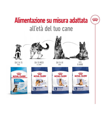 ROYAL CANIN CANE ADULT MAXI