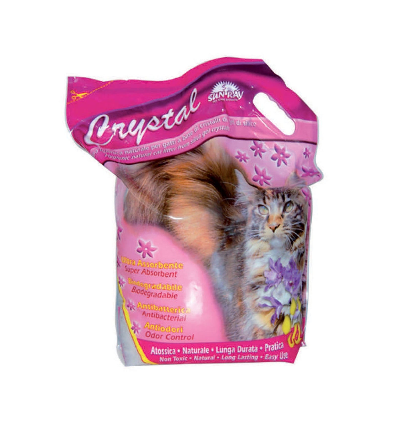 RAGGIOCRYS_1_Image.erp.items.images.107620194_01.jpg RAGGIOCRYS picture