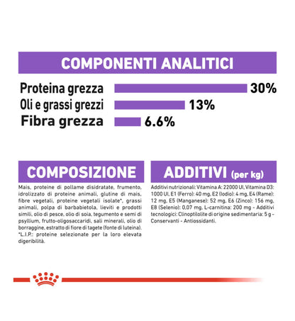 ROYAL CANIN CANE MINI STERILISED