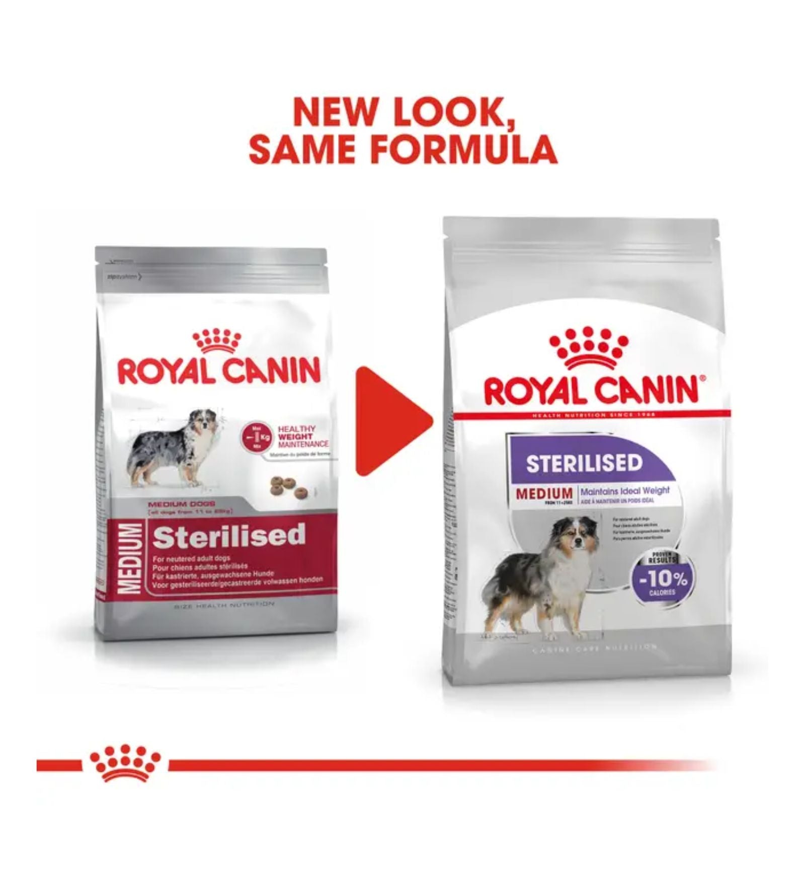 ROYAL1361_01_4__Server-Mago_Mago4_Custom_Companies_ZOOEXPERT_SRL_Applications_erp_items_Files_images_AllUsers_1361_40.jpg ROYAL1361_01 picture