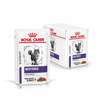 ROYAL7079_38_Image.erp.items.images.7079_38.jpg ROYAL7079 picture