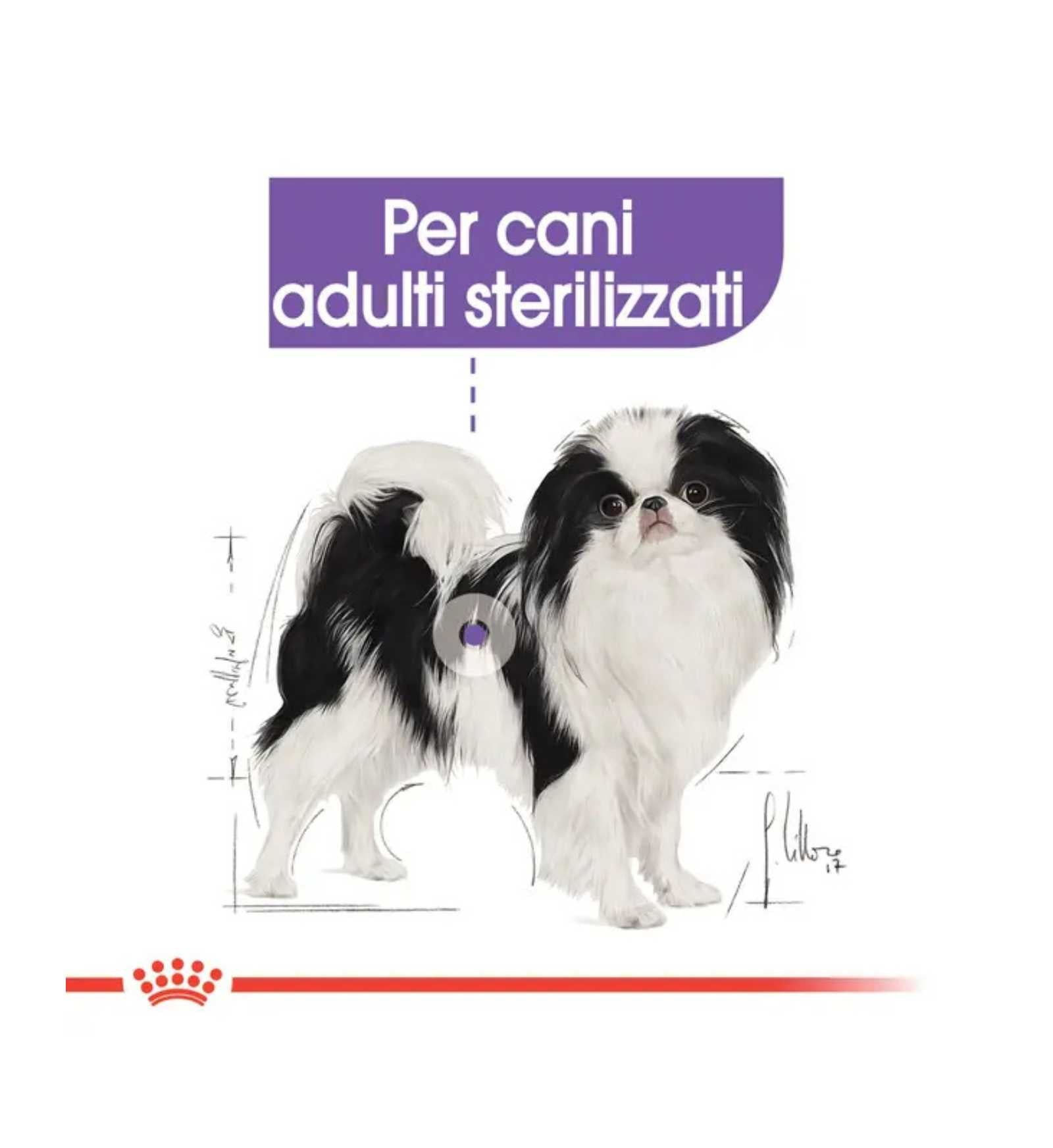 ROYALR448298_3__Server-Mago_Mago4_Custom_Companies_ZOOEXPERT_SRL_Applications_ERP_Items_Files_Images_AllUsers_R448298_05.jpg ROYALR448298 picture