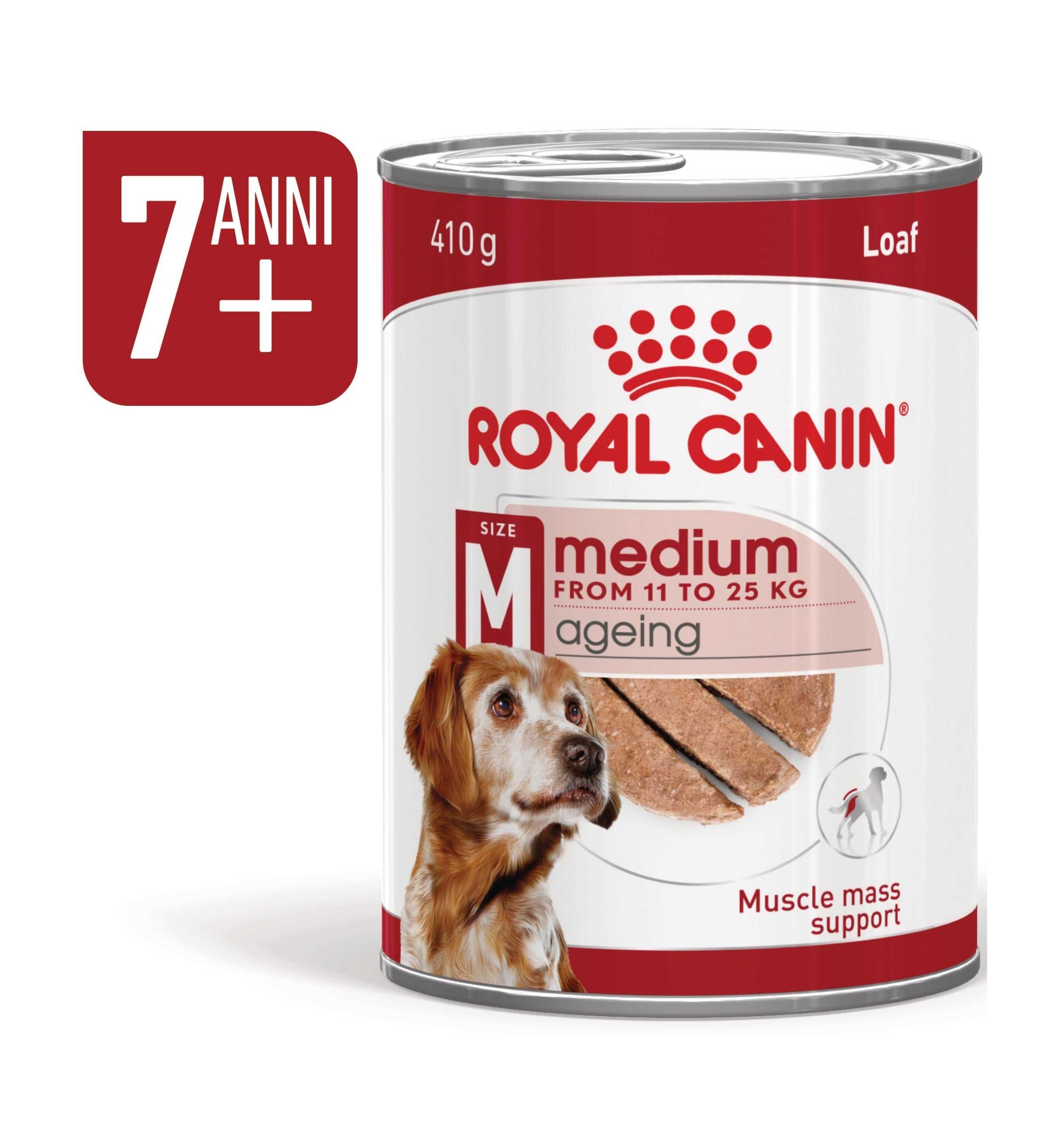 ROYALR459928_4_Image.erp.items.images.R459928_04.jpg ROYALR459928 picture