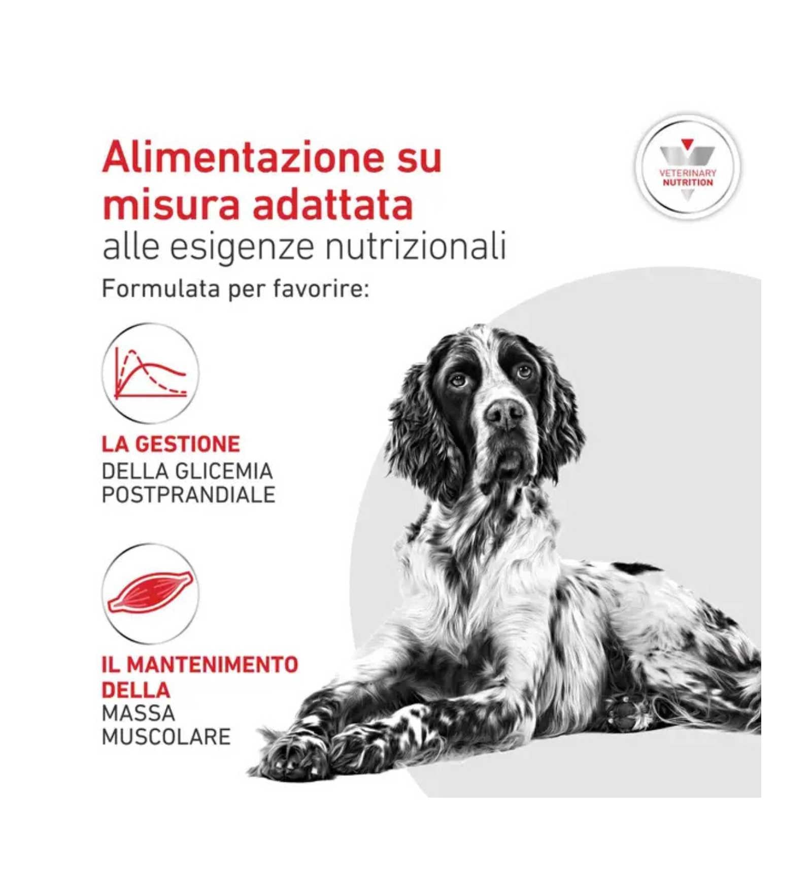 ROYALR603745_4__Server-Mago_Mago4_Custom_Companies_ZOOEXPERT_SRL_Applications_ERP_Items_Files_Images_AllUsers_R603745_17.jpg ROYALR603745 picture