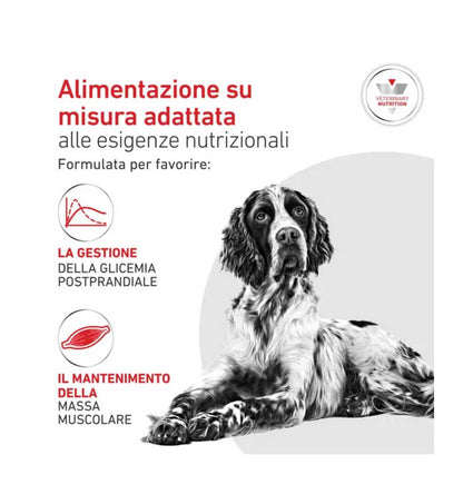 ROYALR603745_4__Server-Mago_Mago4_Custom_Companies_ZOOEXPERT_SRL_Applications_ERP_Items_Files_Images_AllUsers_R603745_17.jpg ROYALR603745 picture