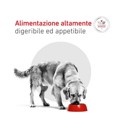 ROYALR603745_6__Server-Mago_Mago4_Custom_Companies_ZOOEXPERT_SRL_Applications_ERP_Items_Files_Images_AllUsers_R603745_19.jpg ROYALR603745 picture