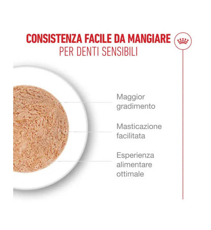 ROYALR605842_3__Server-Mago_Mago4_Custom_Companies_ZOOEXPERT_SRL_Applications_ERP_Items_Files_Images_AllUsers_R605930_16.jpg ROYALR605842 picture
