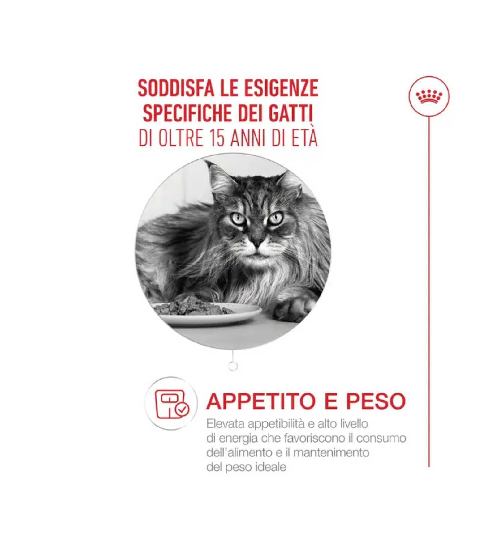 ROYALR605930_5__Server-Mago_Mago4_Custom_Companies_ZOOEXPERT_SRL_Applications_ERP_Items_Files_Images_AllUsers_R605930_18.jpg ROYALR605930 picture