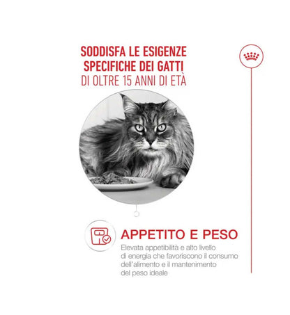 ROYALR605930_5__Server-Mago_Mago4_Custom_Companies_ZOOEXPERT_SRL_Applications_ERP_Items_Files_Images_AllUsers_R605930_18.jpg ROYALR605930 picture