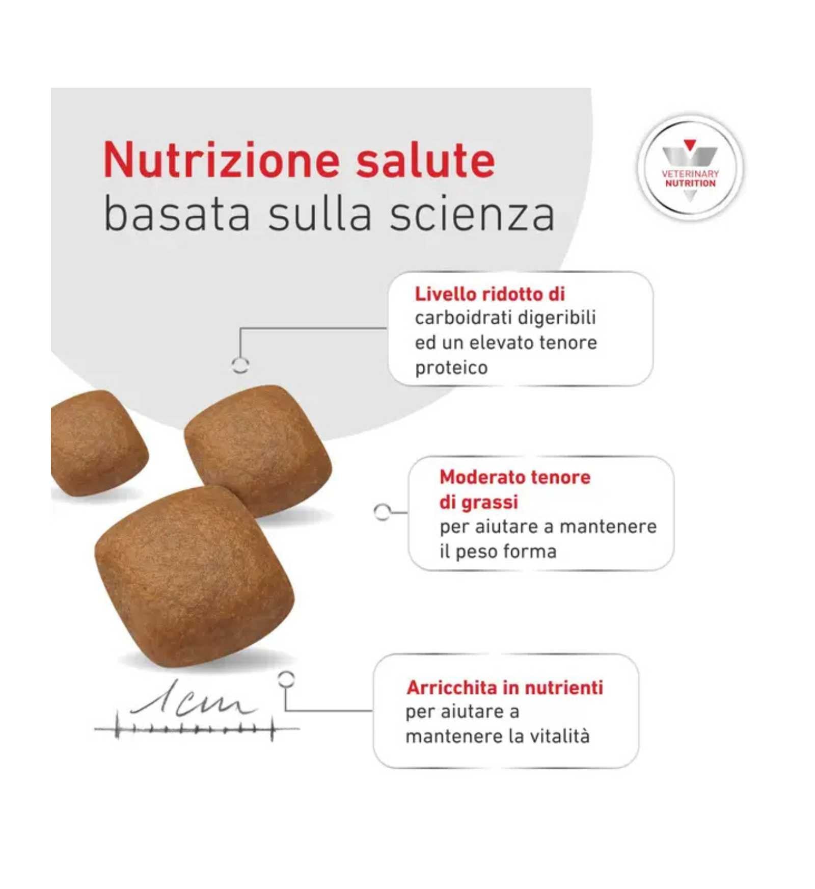 ROYALR606103_2__Server-Mago_Mago4_Custom_Companies_ZOOEXPERT_SRL_Applications_ERP_Items_Files_Images_AllUsers_R606103_11.jpg ROYALR606103 picture