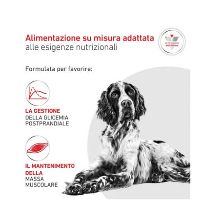 ROYALR606103_3__Server-Mago_Mago4_Custom_Companies_ZOOEXPERT_SRL_Applications_ERP_Items_Files_Images_AllUsers_R606103_16.jpg ROYALR606103 picture