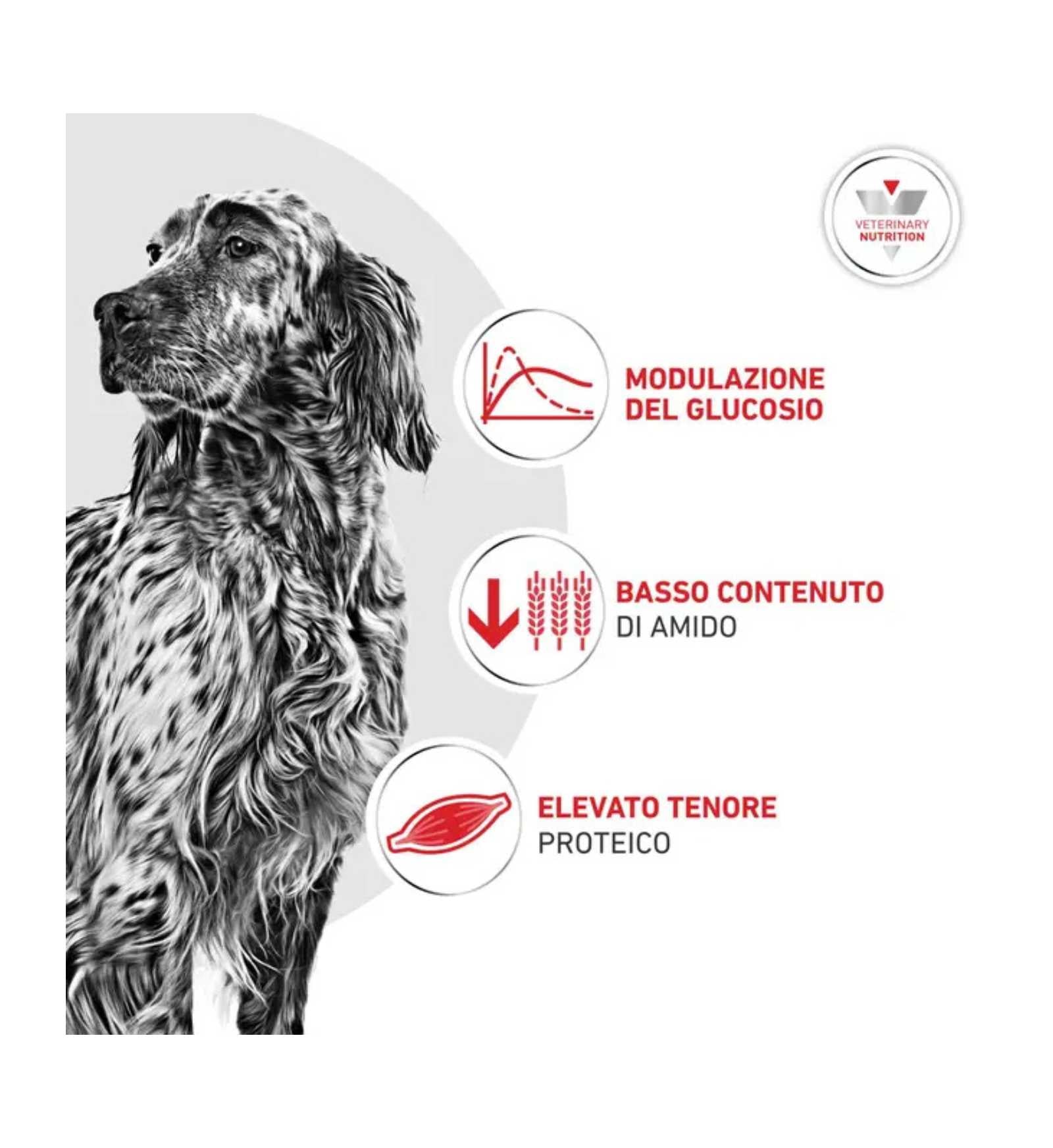 ROYALR606103_4__Server-Mago_Mago4_Custom_Companies_ZOOEXPERT_SRL_Applications_ERP_Items_Files_Images_AllUsers_R606103_17.jpg ROYALR606103 picture