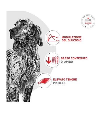 ROYALR606103_4__Server-Mago_Mago4_Custom_Companies_ZOOEXPERT_SRL_Applications_ERP_Items_Files_Images_AllUsers_R606103_17.jpg ROYALR606103 picture