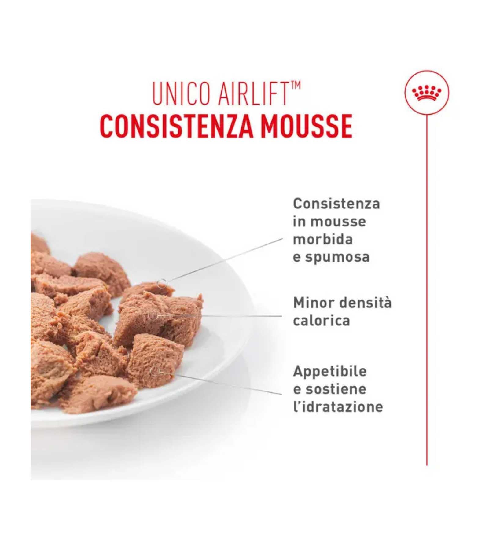 ROYALR606990_2__Server-Mago_Mago4_Custom_Companies_ZOOEXPERT_SRL_Applications_ERP_Items_Files_Images_AllUsers_R606990_16.jpg ROYALR606990 picture