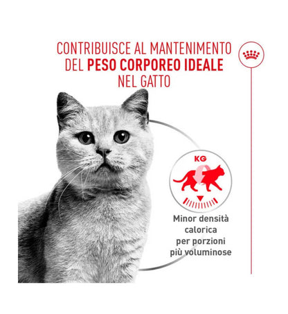 ROYALR606990_3__Server-Mago_Mago4_Custom_Companies_ZOOEXPERT_SRL_Applications_ERP_Items_Files_Images_AllUsers_R606990_17.jpg ROYALR606990 picture