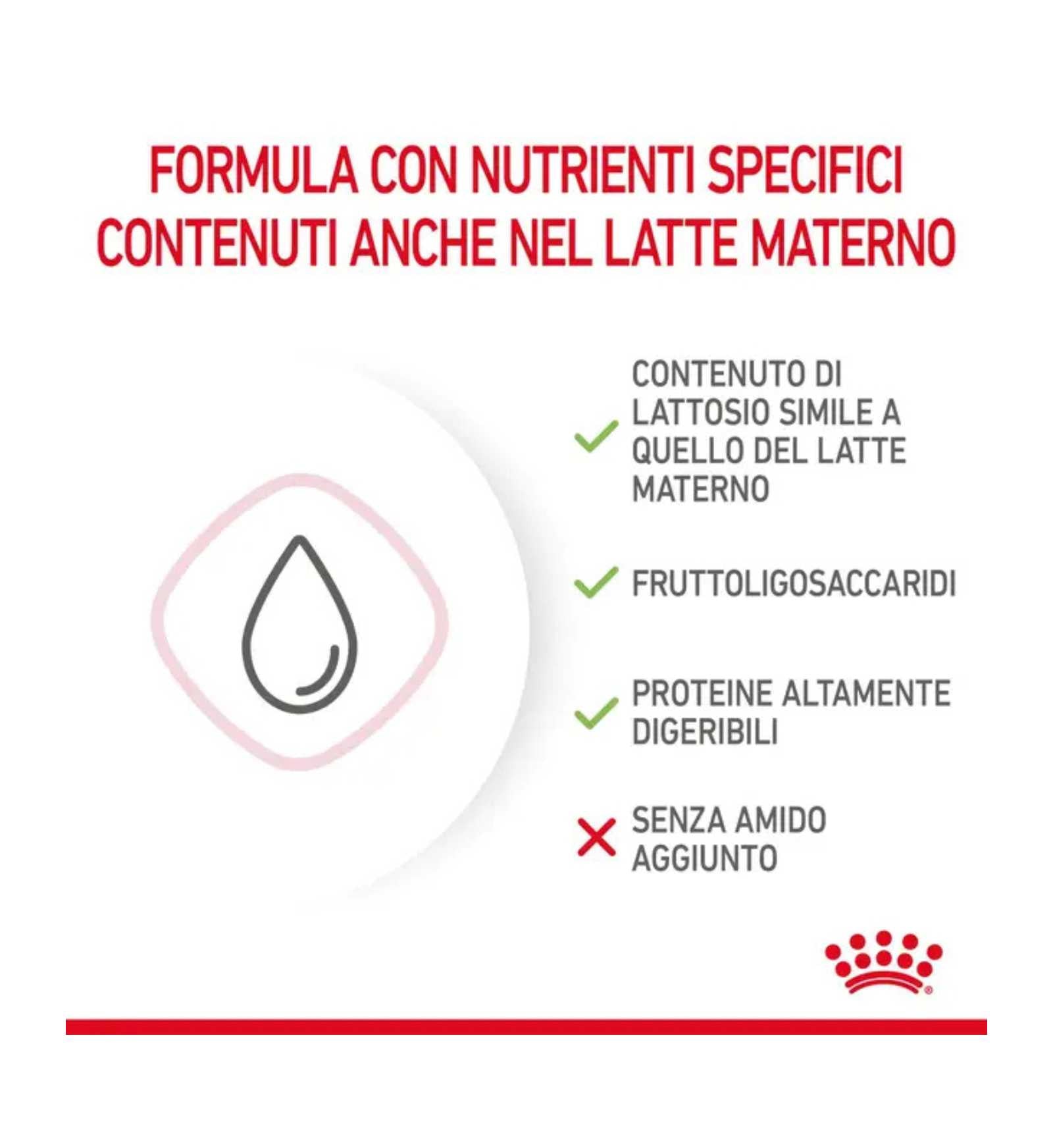 TODISC0001_5__Server-Mago_Mago4_Custom_Companies_ZOOEXPERT_SRL_Applications_ERP_Items_Files_Images_AllUsers_001_16.jpg TODISC0001 picture