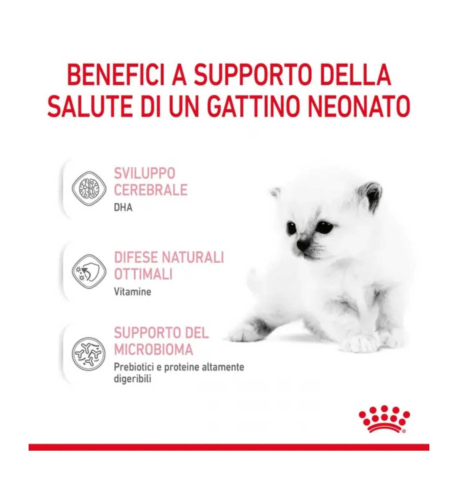 TODISC0001_6__Server-Mago_Mago4_Custom_Companies_ZOOEXPERT_SRL_Applications_ERP_Items_Files_Images_AllUsers_001_17.jpg TODISC0001 picture