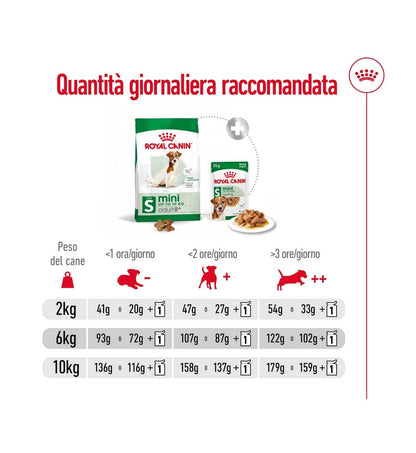 ROYAL CANIN CANE ADULT MINI 8 +