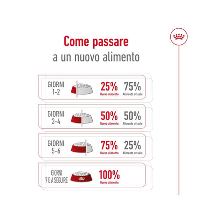 TODISC1059_8__Server-Mago_Mago4_Custom_Companies_ZOOEXPERT_SRL_Applications_ERP_Items_Files_Images_AllUsers_1057_35.jpg TODISC1059 picture