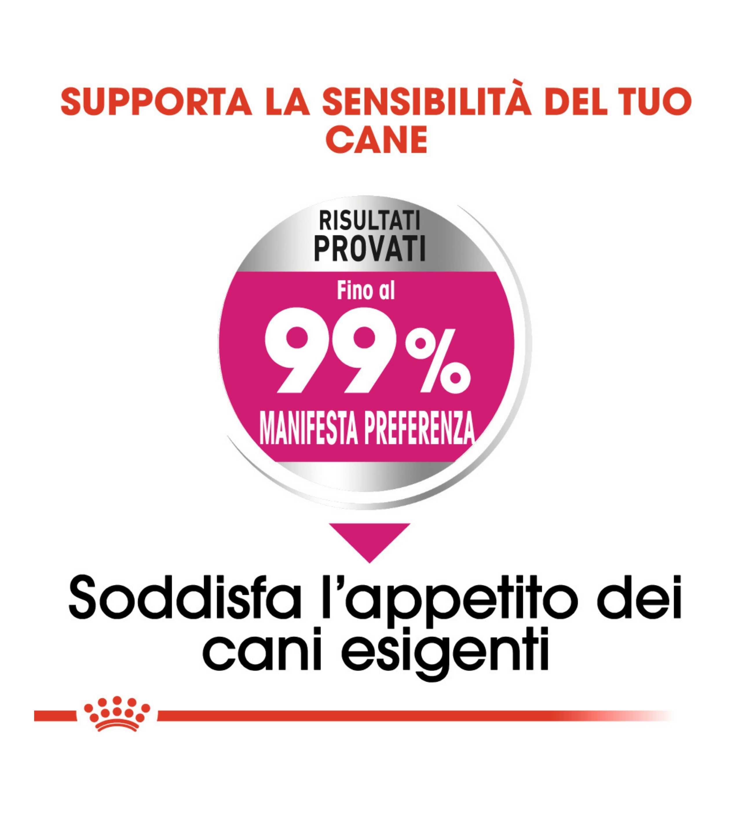 TODISC1321_01_5__Server-Mago_Mago4_Custom_Companies_ZOOEXPERT_SRL_Applications_ERP_Items_Files_Images_AllUsers_1321_17.jpg TODISC1321_01 picture