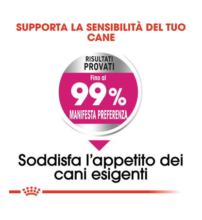 TODISC1321_01_5__Server-Mago_Mago4_Custom_Companies_ZOOEXPERT_SRL_Applications_ERP_Items_Files_Images_AllUsers_1321_17.jpg TODISC1321_01 picture